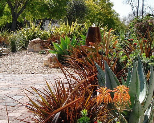 Remarkable Gardens Succulent and Path Gallery Image