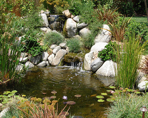 Remarkable Gardens Backyard Pond Gallery Image