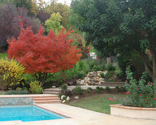 Remarkable Gardens Pool and Trees Gallery Image
